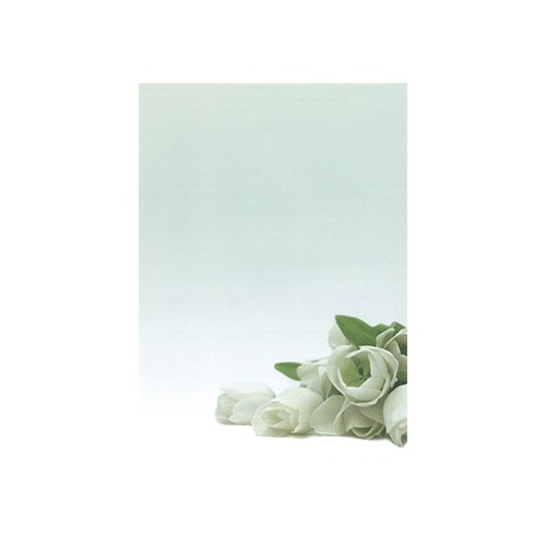 Papel Temático Flor Branca A4 90g - 20 Folhas